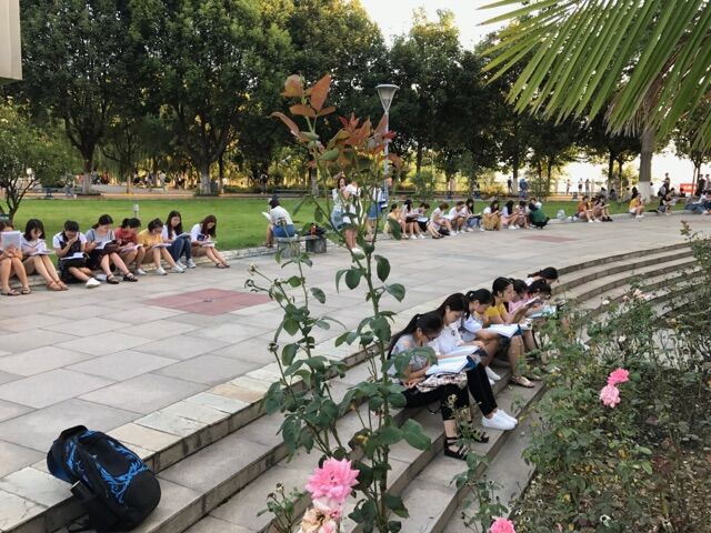 肖书记镜头下的莘莘学子(三)